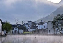旺财28：跑马拉松时“空中漫步”为哪般？医生：已是身体最后的求生信号｜封面科考队.